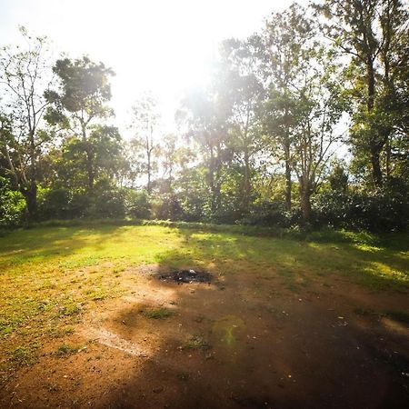 Misty Valley Hill Resorts Nelliyampathy Buitenkant foto